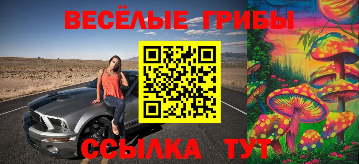 Псилоцибиновые грибы Psilocybe Котлас