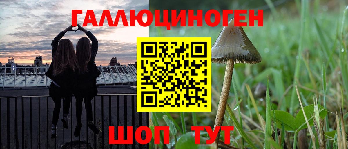 где продают наркотики  Галлюциногенные грибы Psilocybe  Вход с VPN  Котлас 